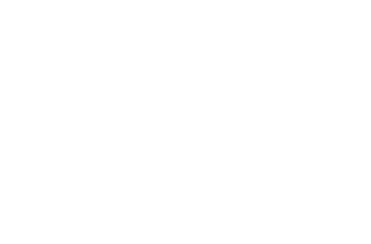 Day & Night Footer Logo